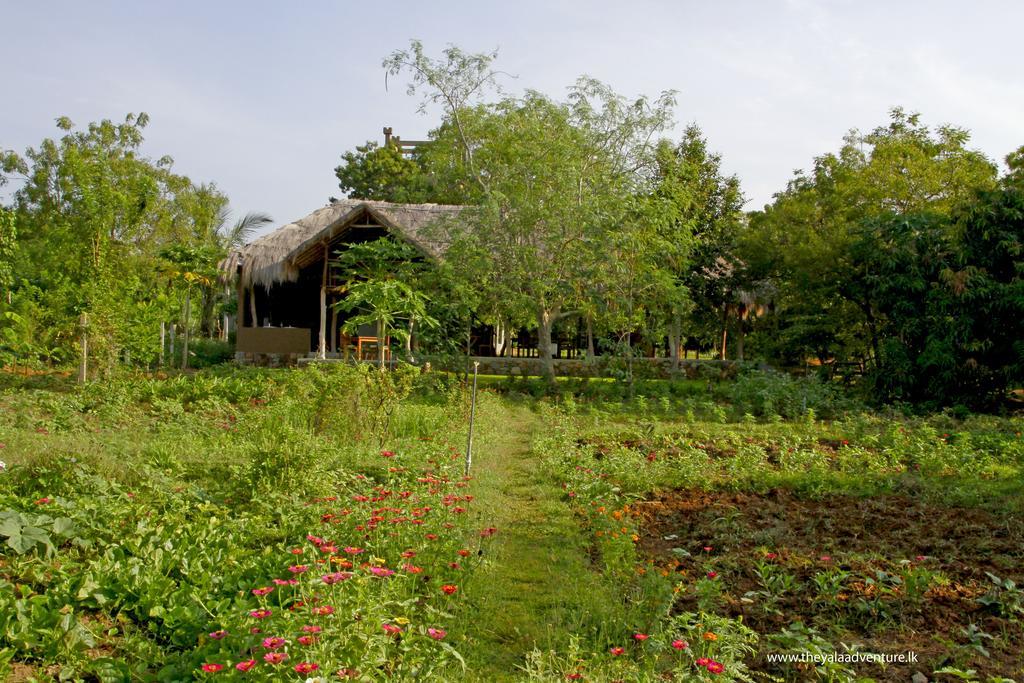 The Yala Adventure Hotel Tissamaharama Eksteriør billede