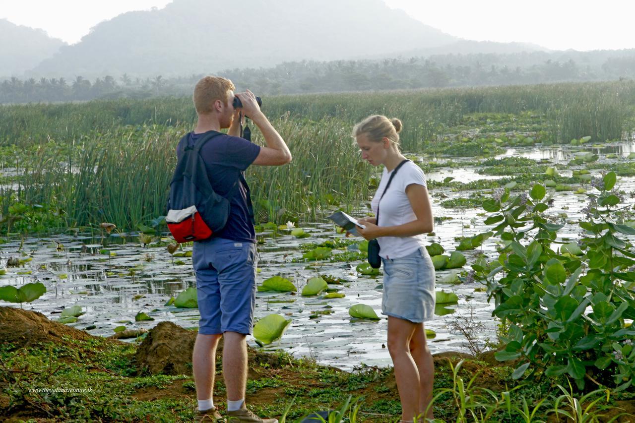 The Yala Adventure Hotel Tissamaharama Eksteriør billede