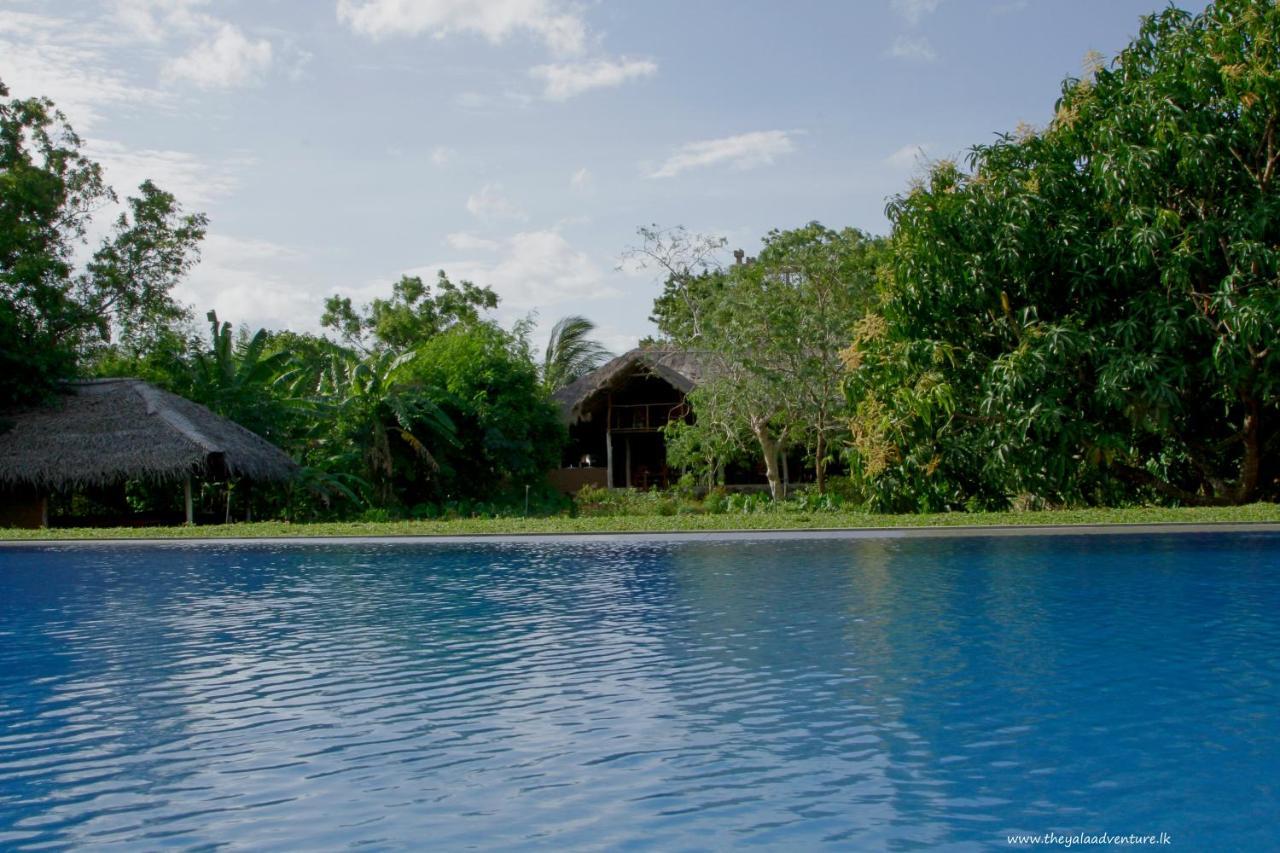 The Yala Adventure Hotel Tissamaharama Eksteriør billede