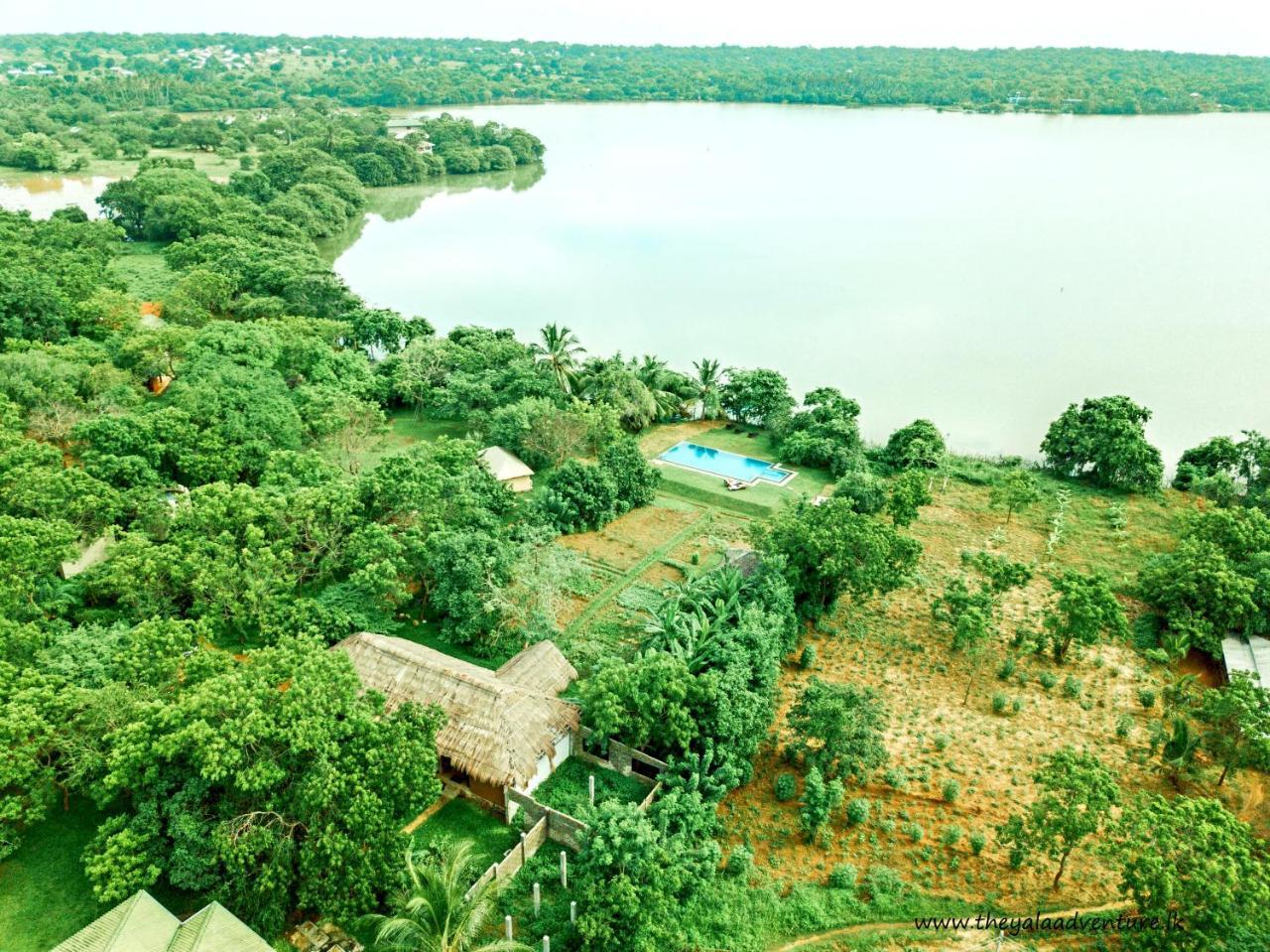 The Yala Adventure Hotel Tissamaharama Eksteriør billede