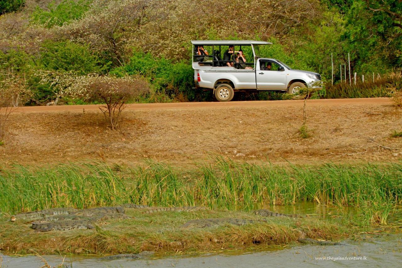 The Yala Adventure Hotel Tissamaharama Eksteriør billede